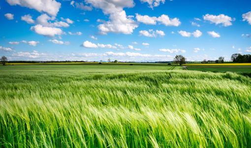 腦卒中是腦梗嗎？遇到腦卒中應(yīng)該怎樣快速處理