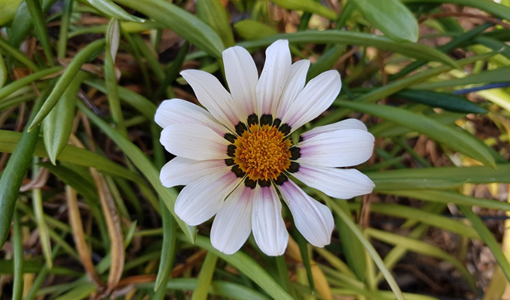 上海運動損傷康復(fù)后的運動回歸策略：從低強度到高強度的安全過渡指南